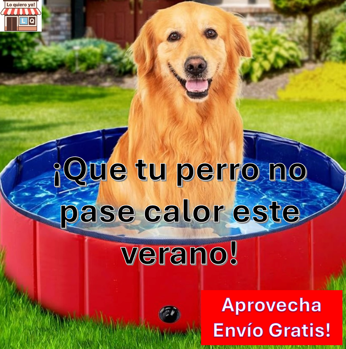 ¡QUE TU PERRO NO LA PASE MAL ESTE VERANO! REFRÉSCALO CON ESTA PISCINA PLEGABLE